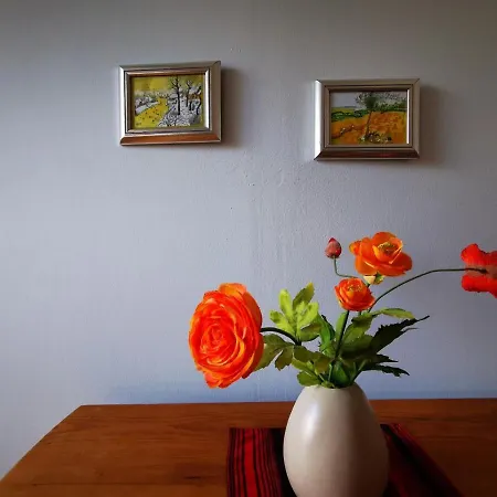 Haus Seenland Daire Feldberger Seenlandschaft